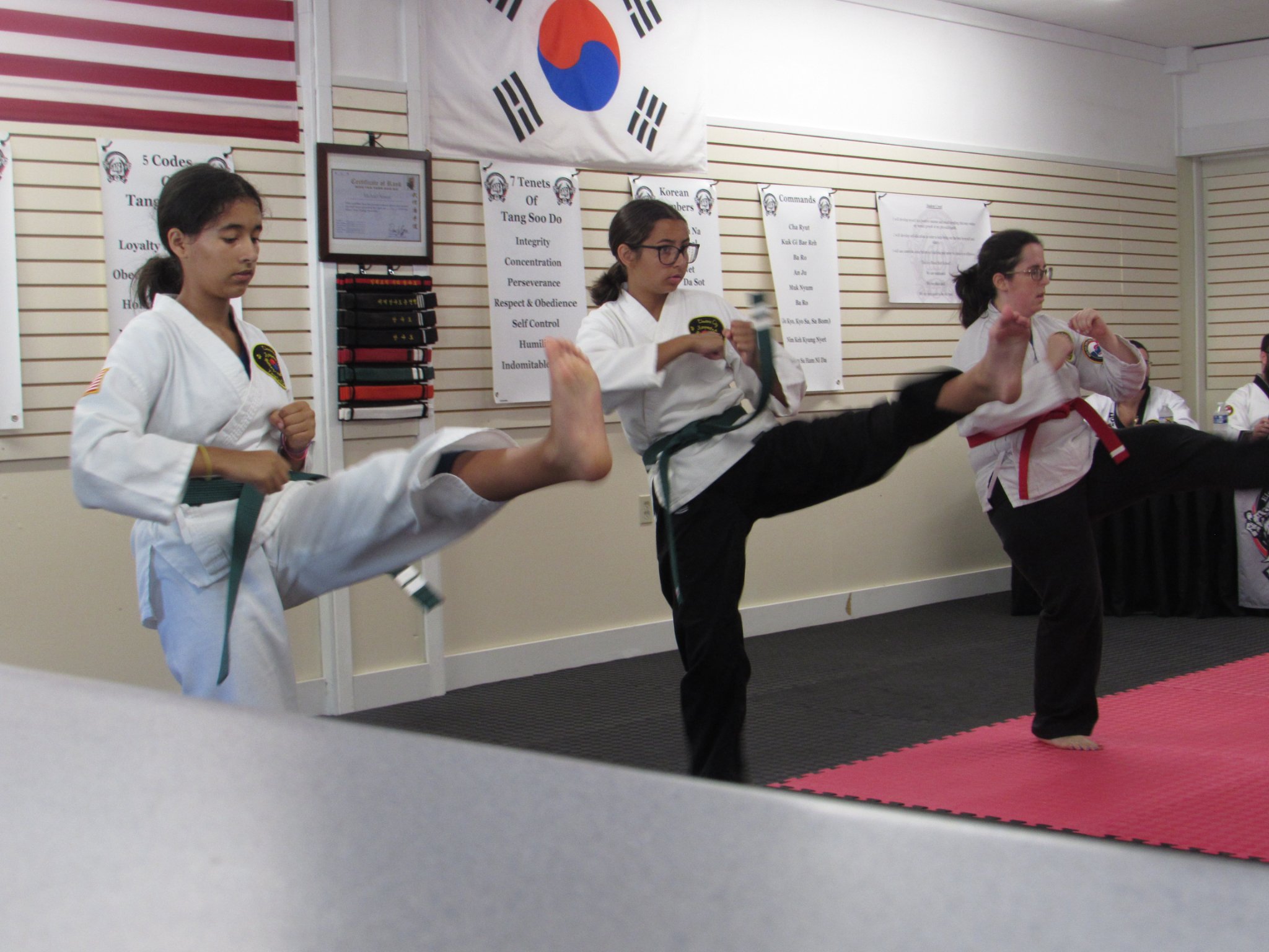 Martial artists training together